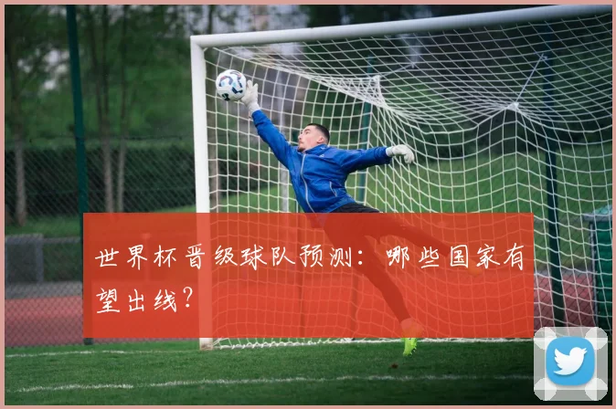 世界杯晋级球队预测：哪些国家有望出线？