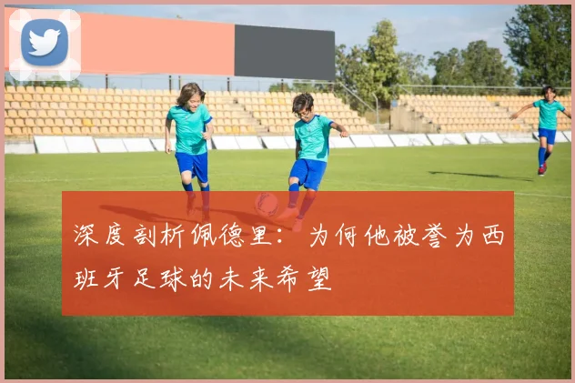 深度剖析佩德里：为何他被誉为西班牙足球的未来希望