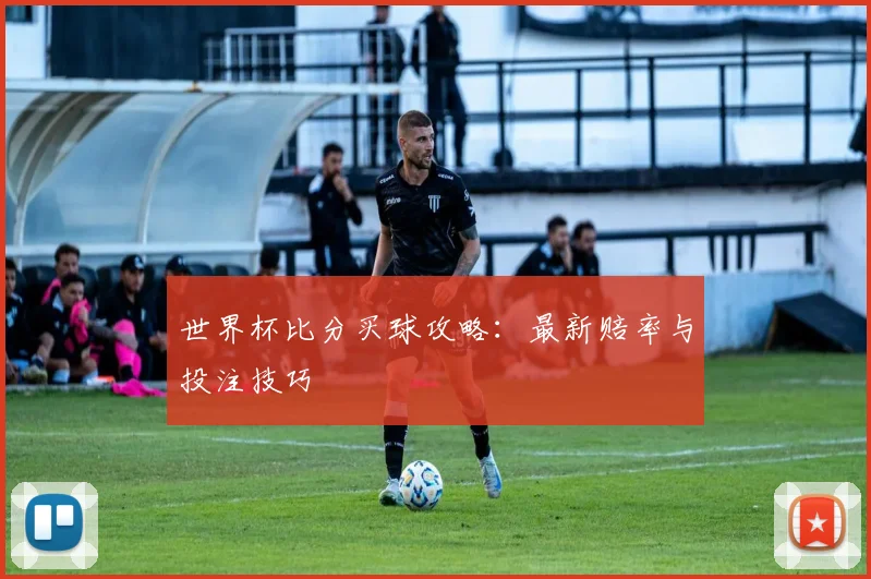 世界杯比分买球攻略：最新赔率与投注技巧